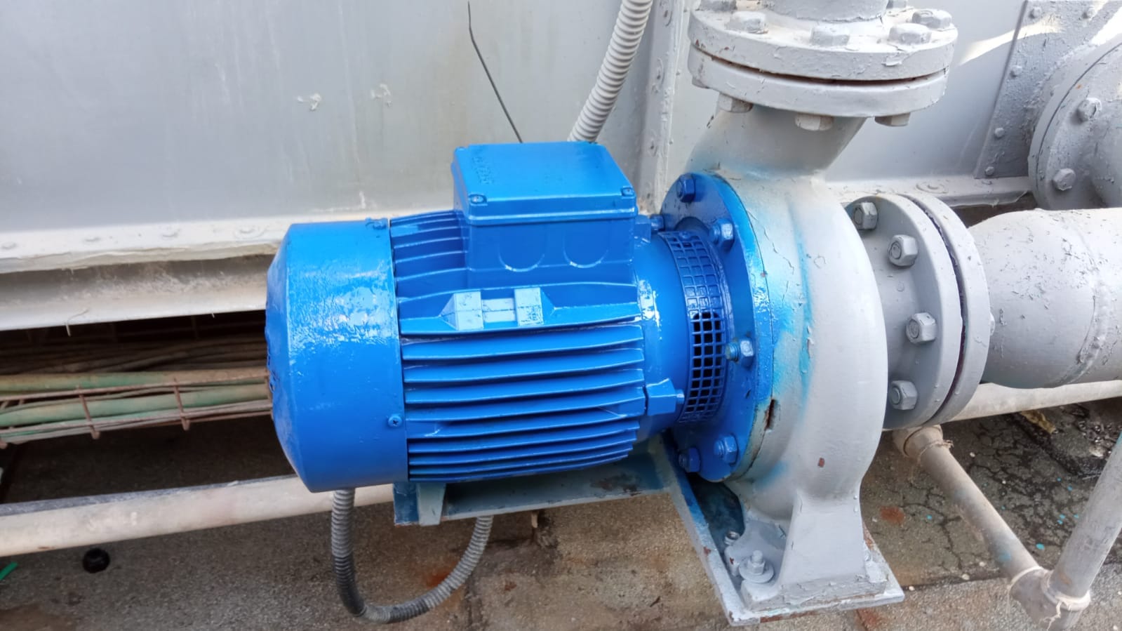 תמונת פרויקט 16